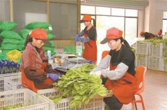 来历可溯、去向可逃”的风险管控方针